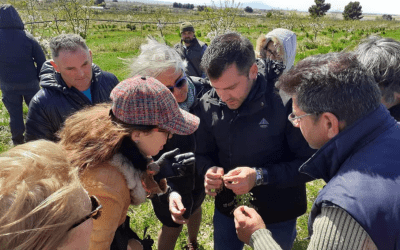 Transfiriendo conocimiento a través del Grupo Operativo 4 Retornos