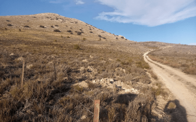 Aumentando la biodiversidad en El Cortijico