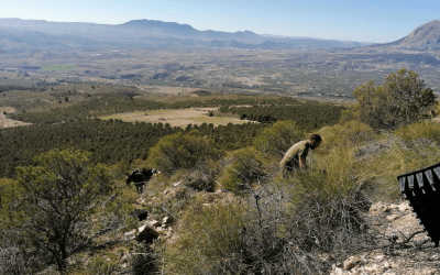 Nuevas actuaciones en la Solana de La Muela de Montalviche
