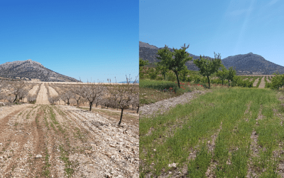 Mejora de servicios ecosistémicos a través de la agroecología
