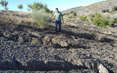 Beneficios del manejo del suelo tras las últimas tormentas