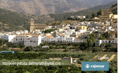 Se abre el plazo de inscripción al IV Coloquio AlVelAl