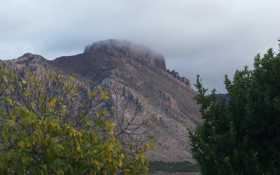 La Muela, restoring native plants