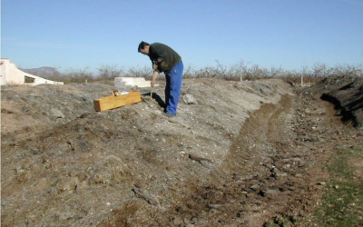 Los beneficios del Compost, mitos y realidades