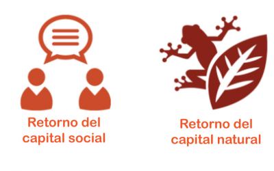 Ampliamos el plazo de solicitud del fondo 4 retornos hasta fin de año