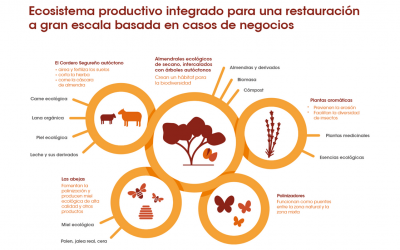 Negocios que cuidan el entorno generando futuro