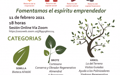 AlVelAl entrega nueve premios a ideas de negocio sostenibles