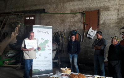 Incorporando Abonos Verdes al suelo
