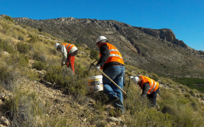The restoration of La Solana of La Muela generates employment