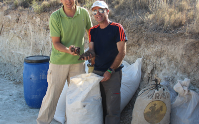 Talleres de compost: La fuerza del ejemplo