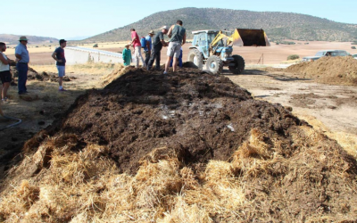 Recuperación de suelos degradados con agricultura regenerativa: la clave para un altiplano verde, pr