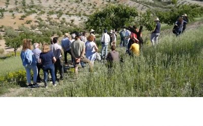 Frenar la erosión para contar con un cultivo sano