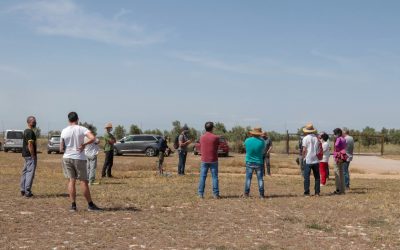 Entender la agricultura como un ecosistema