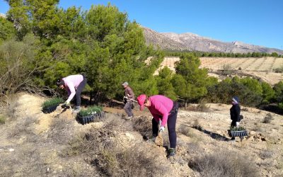 Nueva actuación de restauración de ecosistemas en El Estrecho