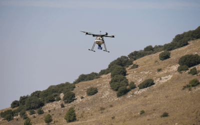Alvelal siembra 140.000 semillas en Chirivel con drones