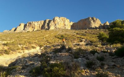 La asociación AlVelAl y Ecosia aúnan fuerzas contra el cambio climático