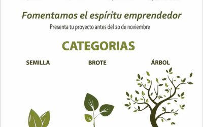 La asociación lanza la primera edición del Premio AlVelAl 4 Retornos