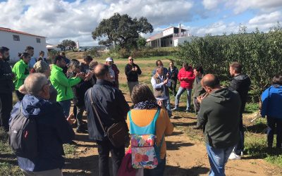 Una treintena de personas asociadas a AlVelAl participan en Erasmus+ TransFarmers