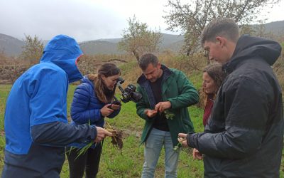 AlVelAl forma a cuatro agricultores en manejo regenerativo a través del programa Cultiva