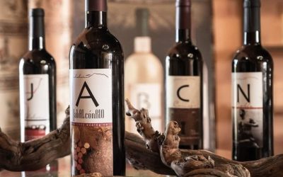 Empresas 4 Retornos: Bodegas Jabalcón