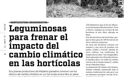 Leguminosas para frenar el impacto del cambio climático en hortícolas