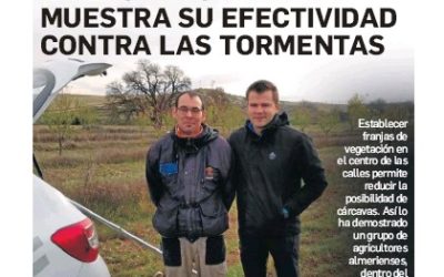 Abonado en verde, el aliado contra las tormentas