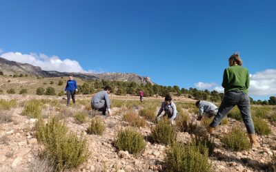 Unidos por un Territorio Regenerativo