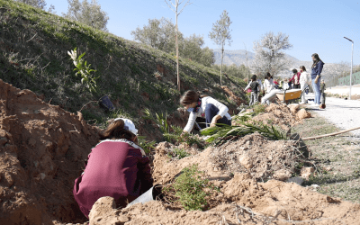 La Asociación Alvelal realiza una plantación de árboles y de arbustos en la Vía Verde de Baza