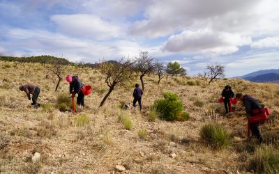 Navegando hacia la Supervivencia: El Plan de Restauración de Ecosistemas de AlVelAl