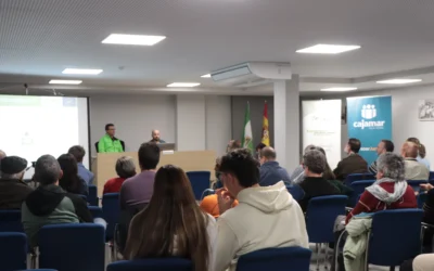 Las masas forestales del sur y su papel crucial en la lucha contra el cambio climático