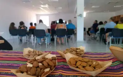 Mayor aporte de antioxidantes en las almendras del territorio AlVelAl