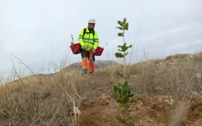 Alianza para la restauración del ecosistema de La Finca La Monja en la Sierra de Montilla
