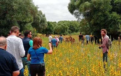 Sostenibilidad Agraria: Explorando la Agricultura de Carbono (Carbon Farming) con AlVelAl
