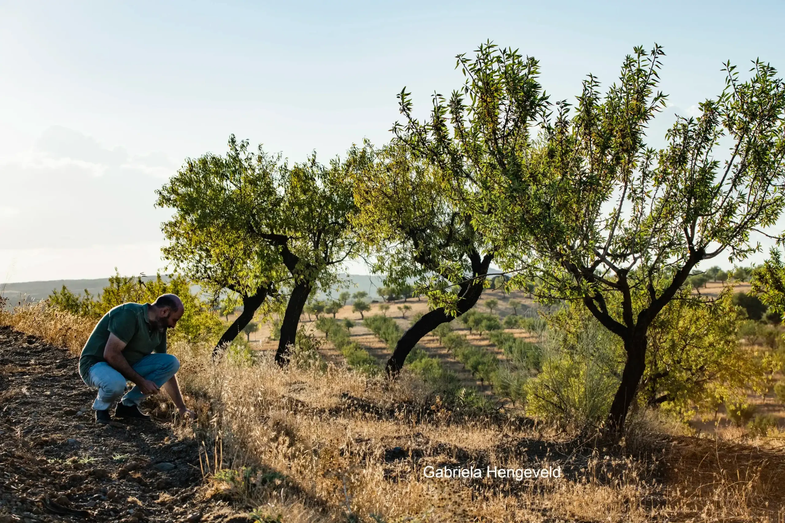 Agricultor AlVelAl