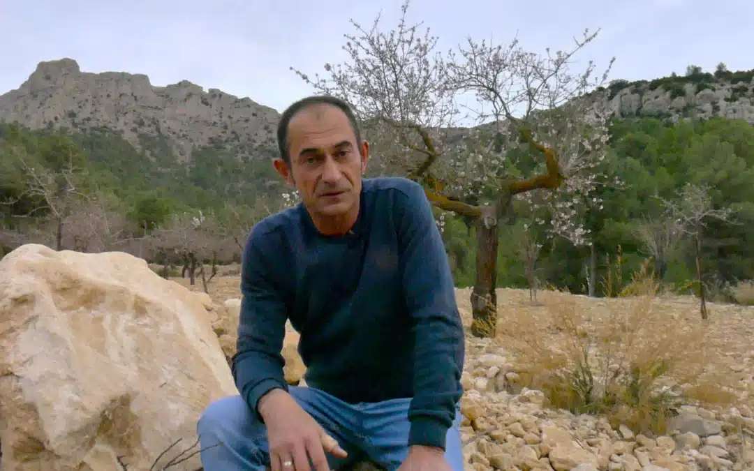 Juan Antonio Merlo