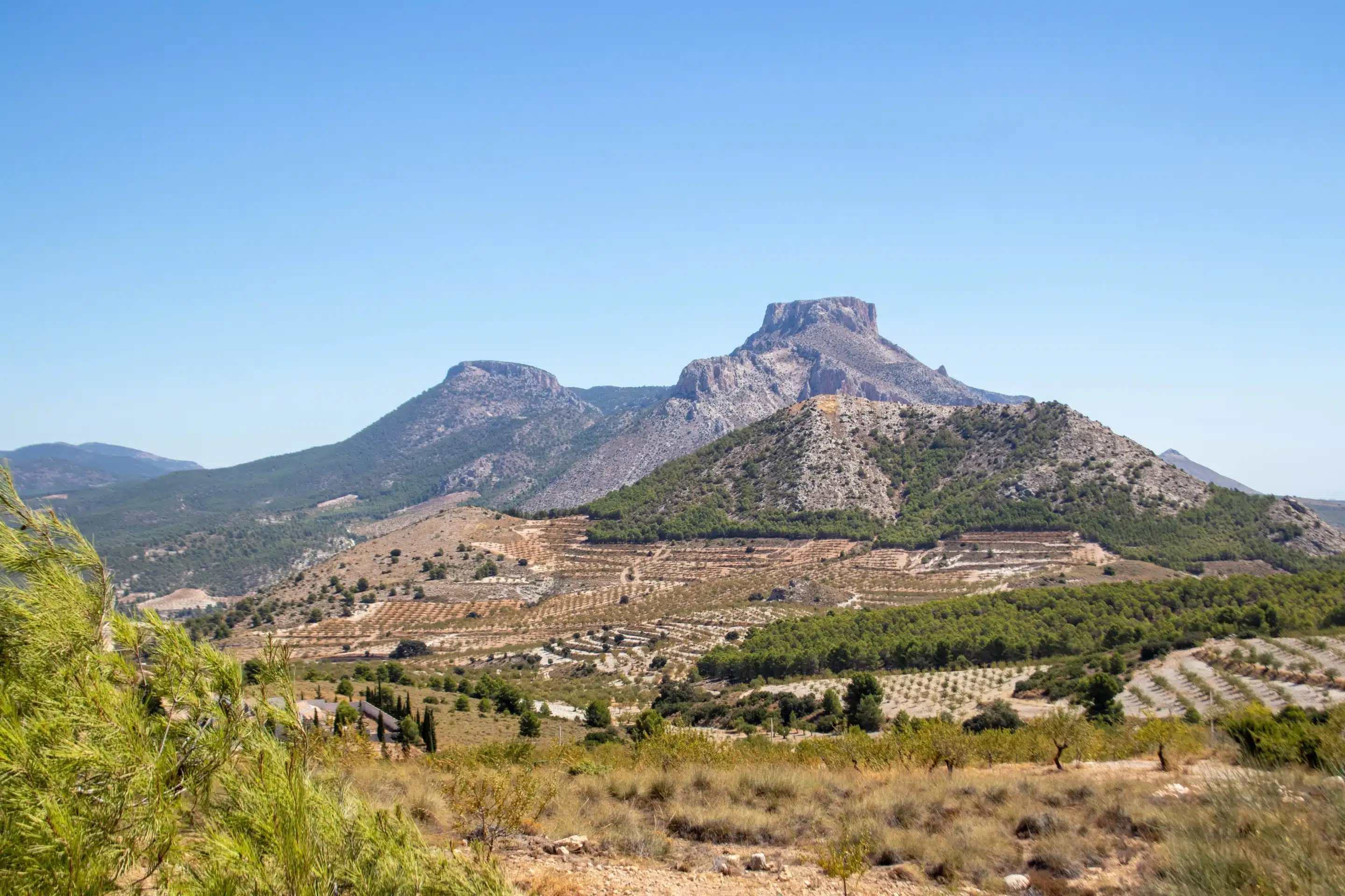Paisaje AlVelAl