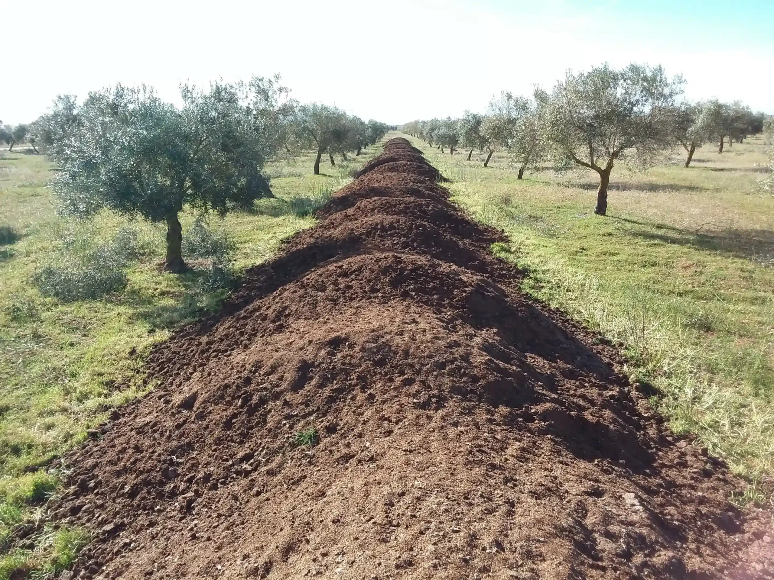 agricultura regenerativa
