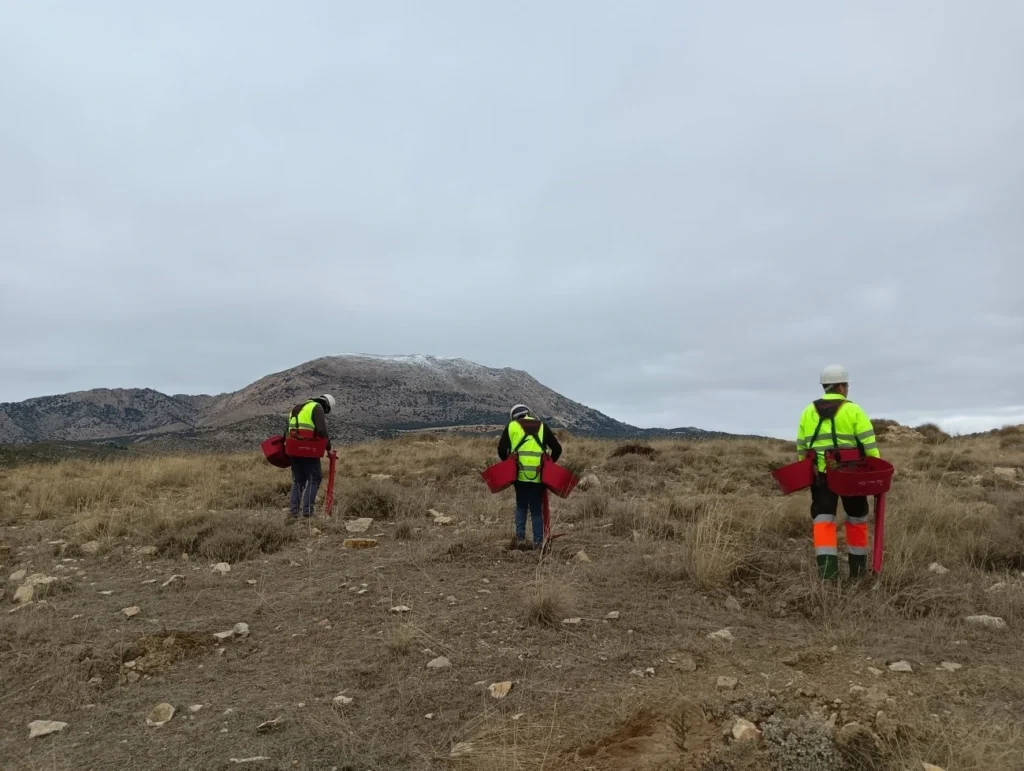 Trabajos de plantación en finca La Monja