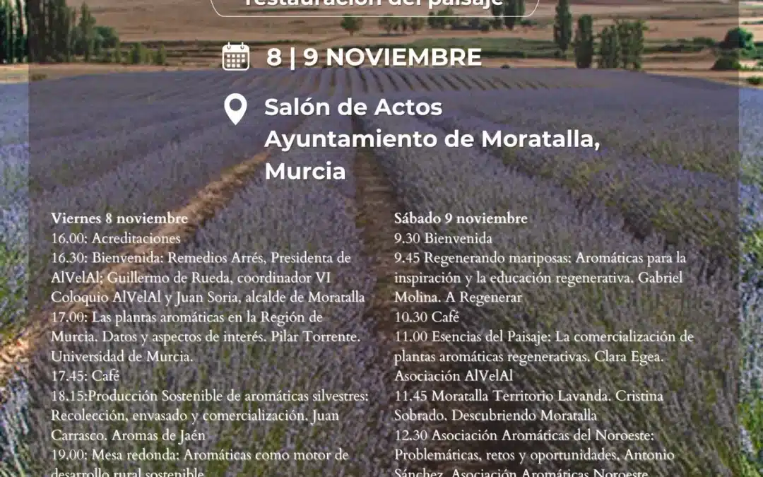 Programación Coloquio Noviembre