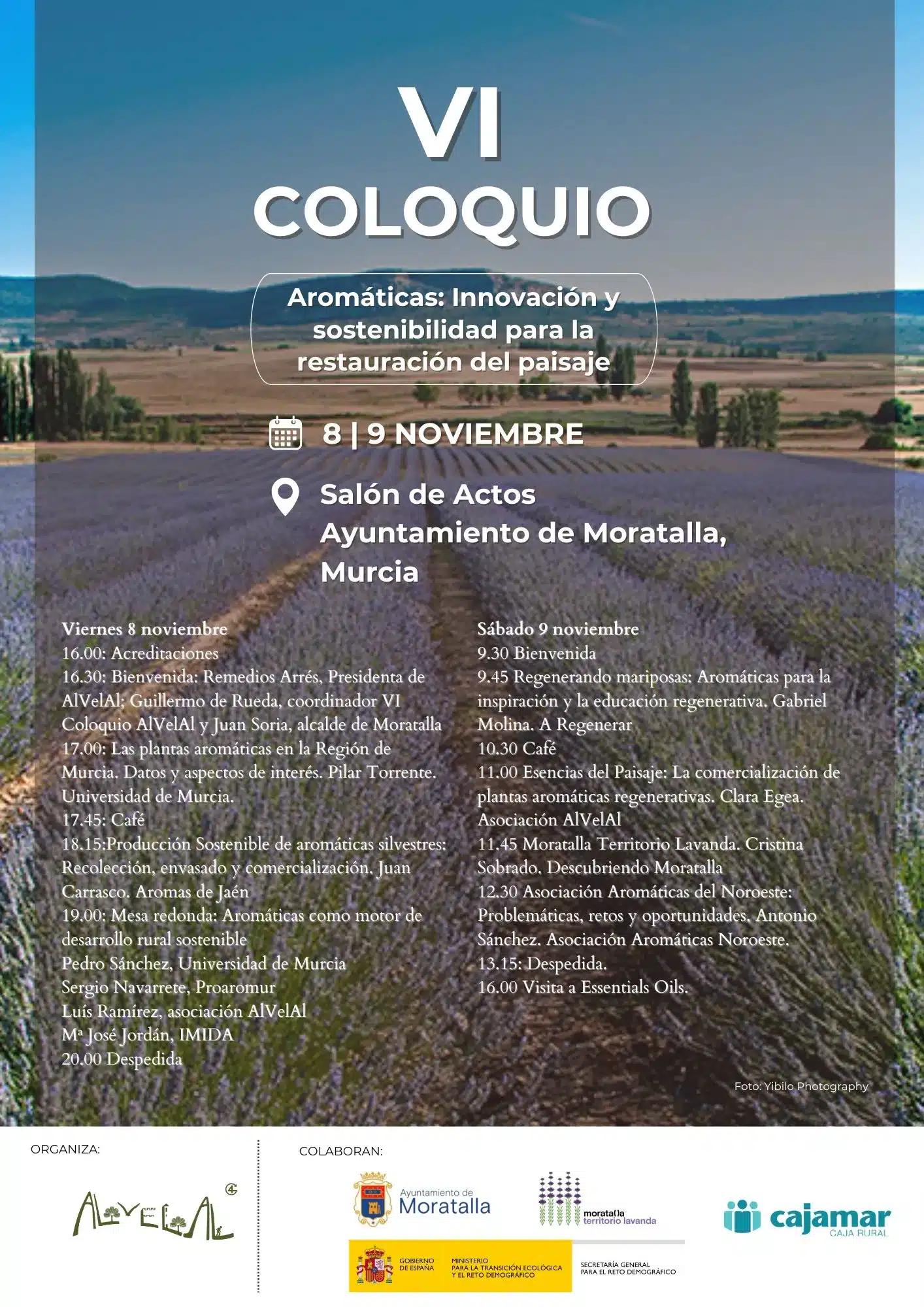 Programación Coloquio Noviembre