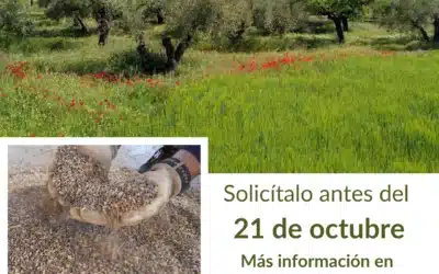 Más de 40 personas reciben el octavo Fondo Semilla de AlVelAl