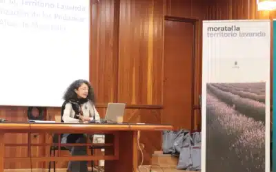 Territorio Lavanda: Conservar, revitalizar y transformar Moratalla