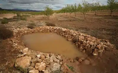 Un viaje inspirador con el Fondo de Infraestructuras Verdes: del aprendizaje colectivo a la regeneración del paisaje