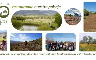 10 años de restauración del Altiplano Estepario en el Sureste de España