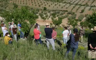 Destino AlVelAl: turismo que regenera el paisaje