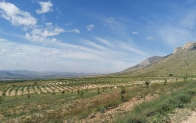 Un laboratorio vivo para la restauración del Altiplano Estepario en el Sureste de España