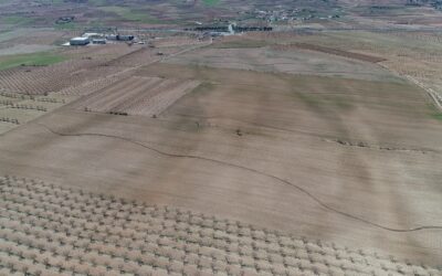 Ocho años transformando el paisaje con curvas de nivel