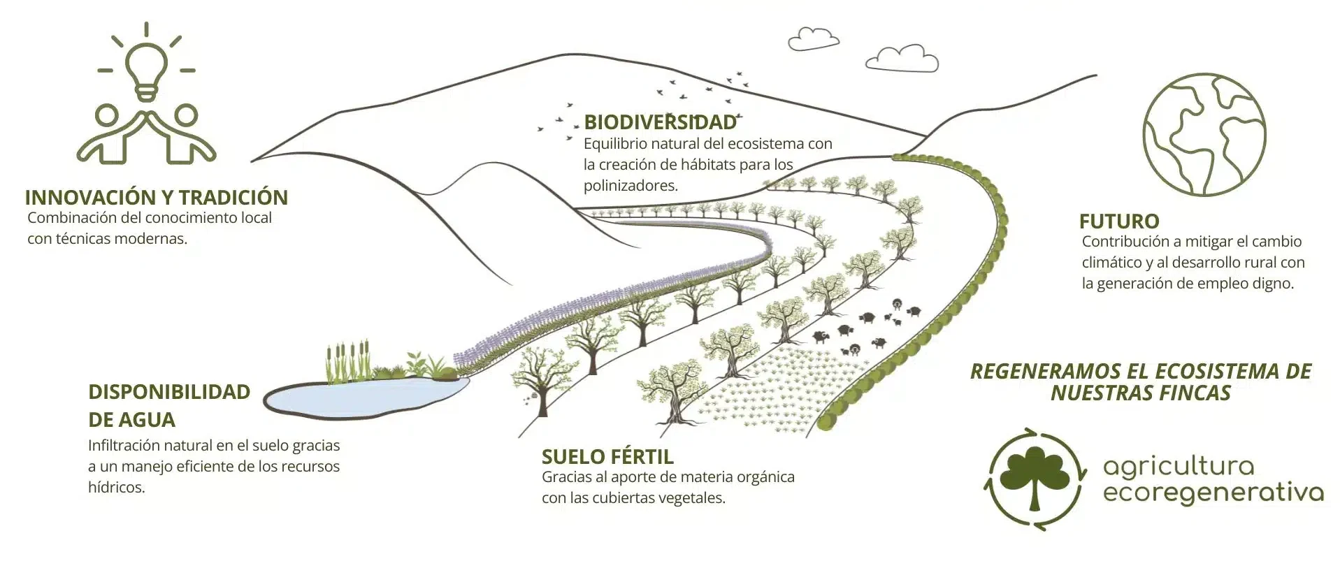 Agricultura Ecoregenerativa