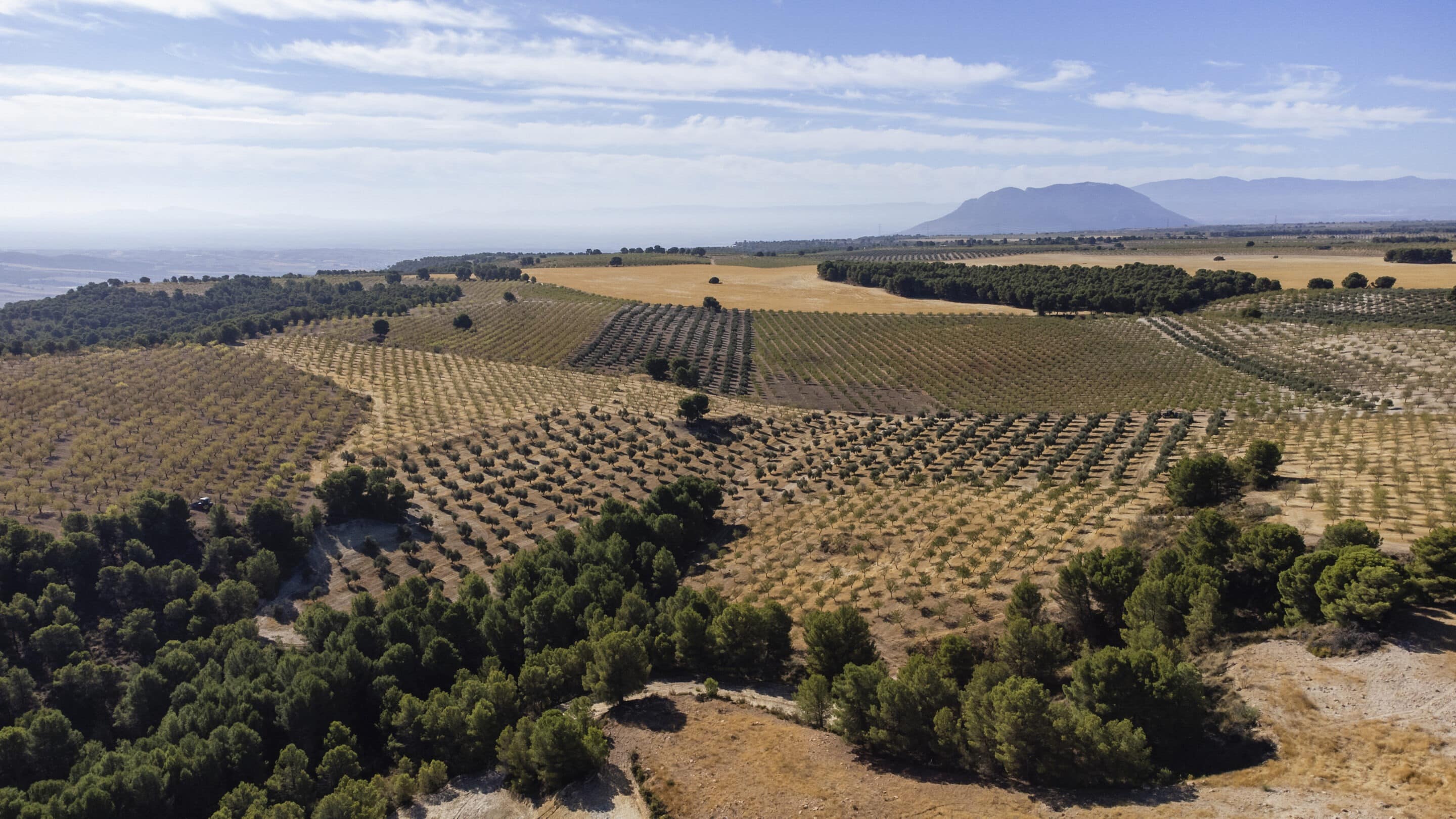 Agricultura Regenerativa