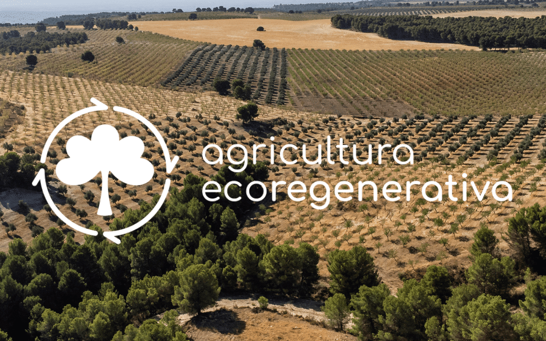 Agricultura ecoregenerativa